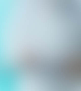 Transcript Request Form